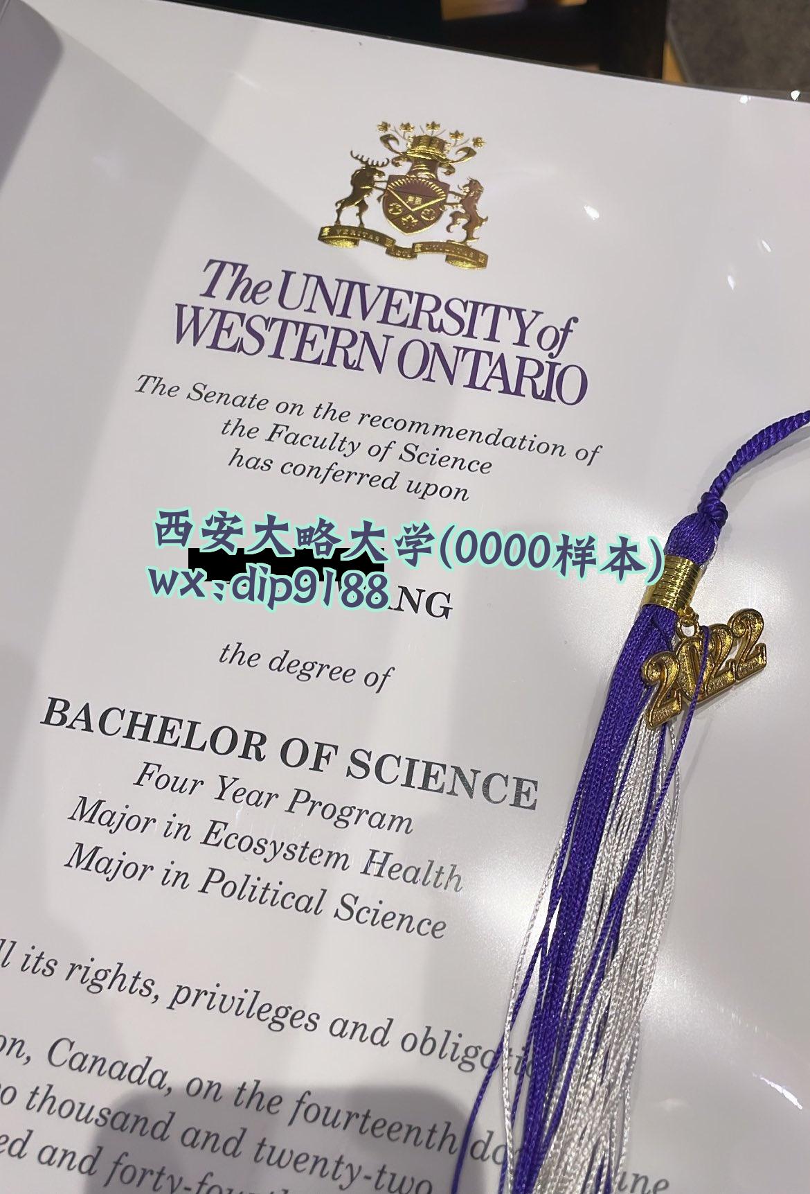 西安大略大学学历0000毕业证样本图