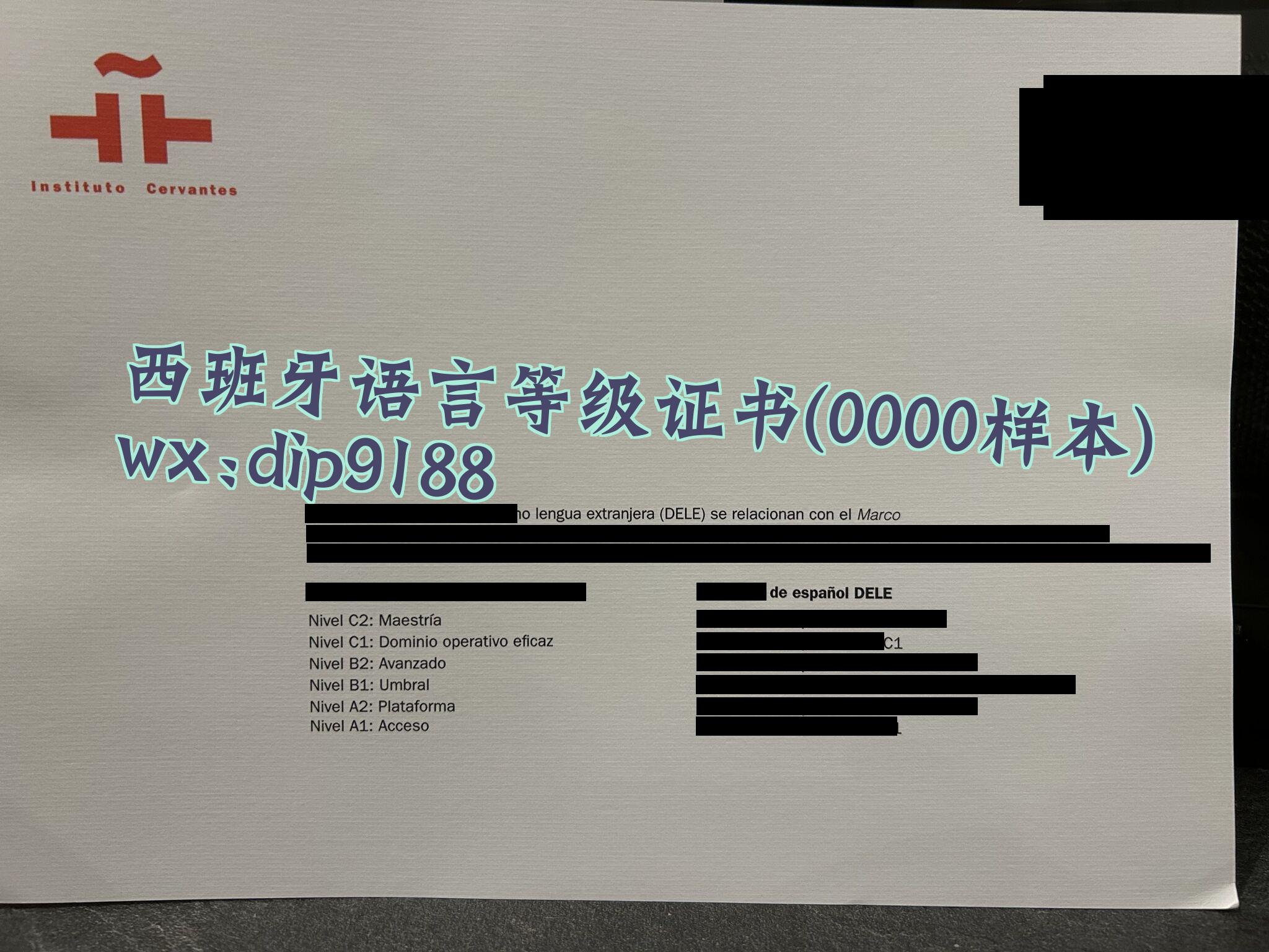西班牙语言等级证书学历0000毕业证样本图