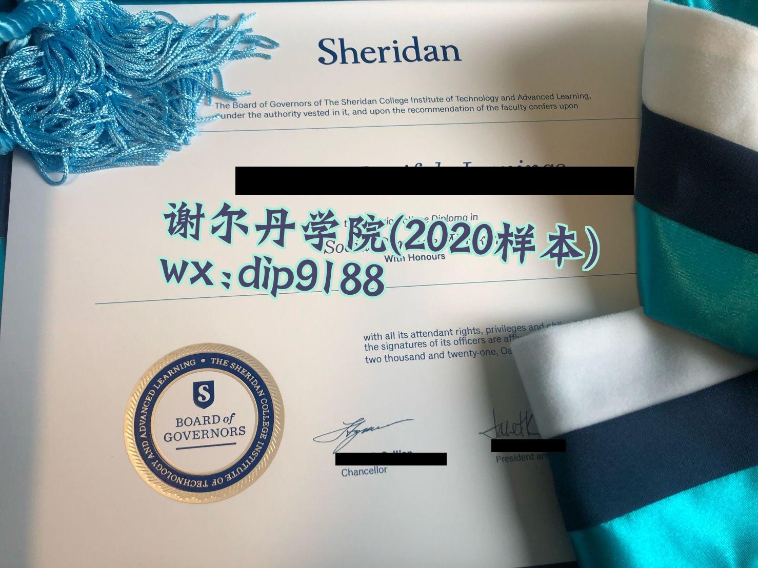 谢尔丹学院学历2020毕业证样本图
