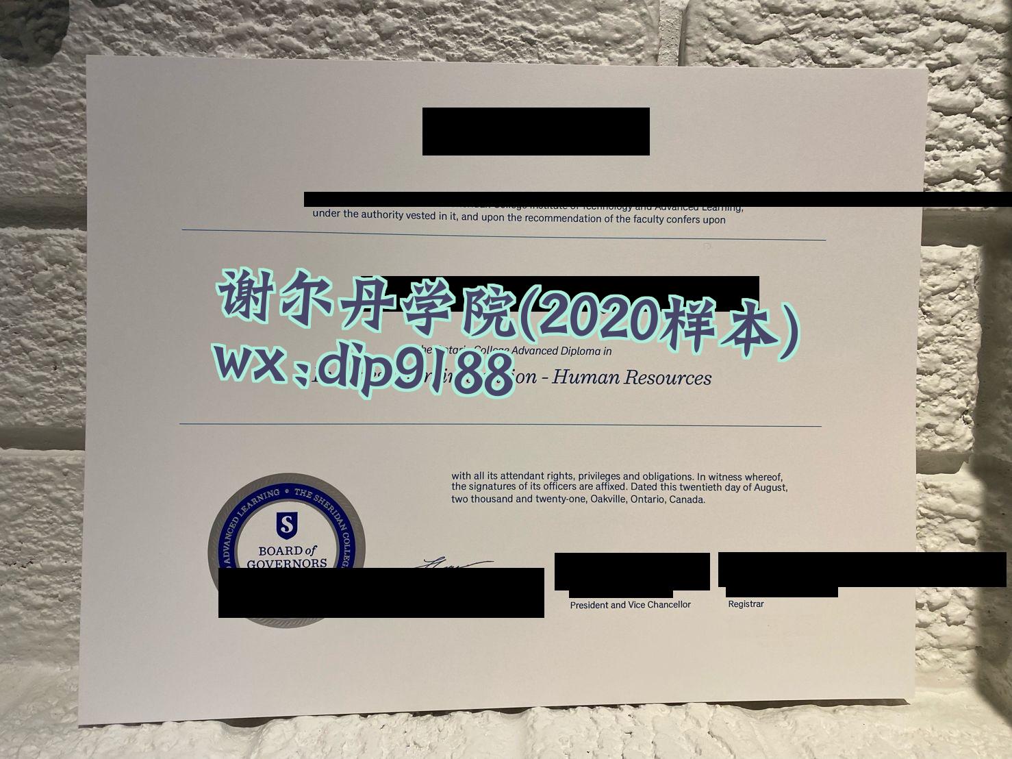 谢尔丹学院学历2020毕业证样本图