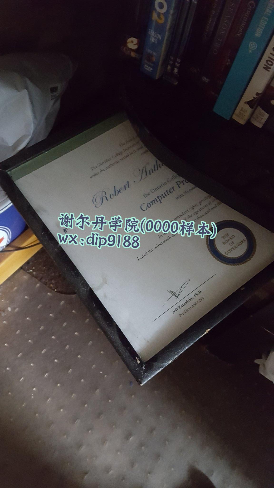 谢尔丹学院学历0000毕业证样本图