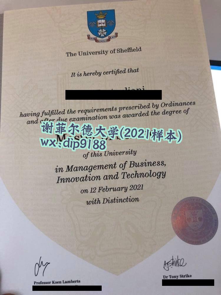 谢菲尔德大学学历2021毕业证样本图