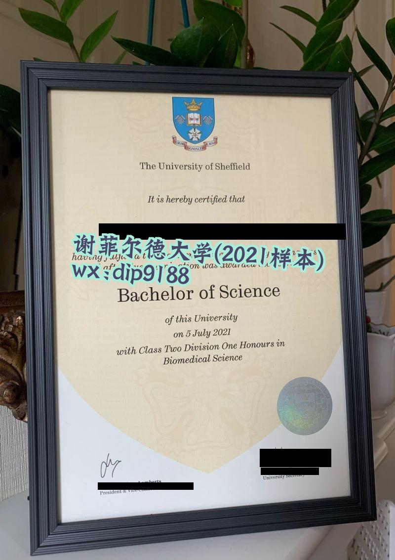 谢菲尔德大学学历2021毕业证样本图