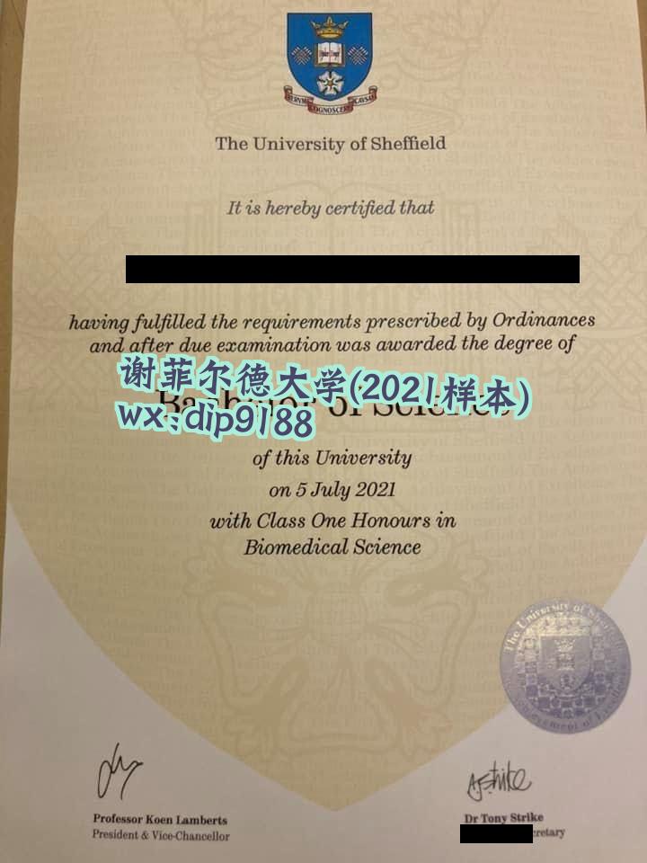 谢菲尔德大学学历2021毕业证样本图