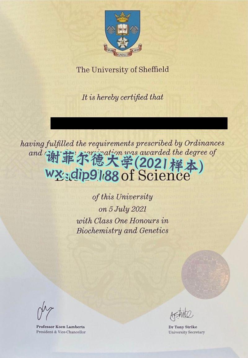 谢菲尔德大学学历2021毕业证样本图