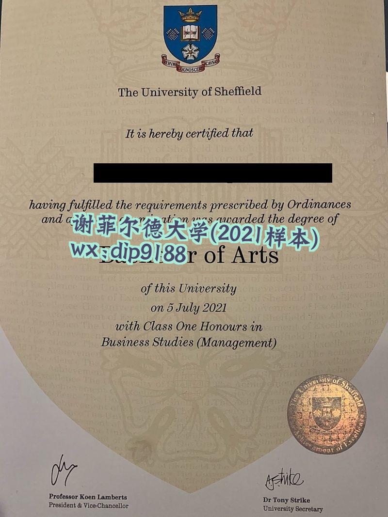 谢菲尔德大学学历2021毕业证样本图