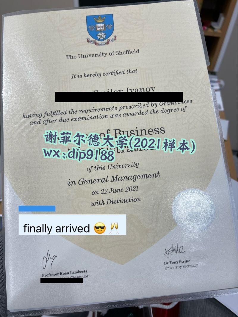谢菲尔德大学学历2021毕业证样本图
