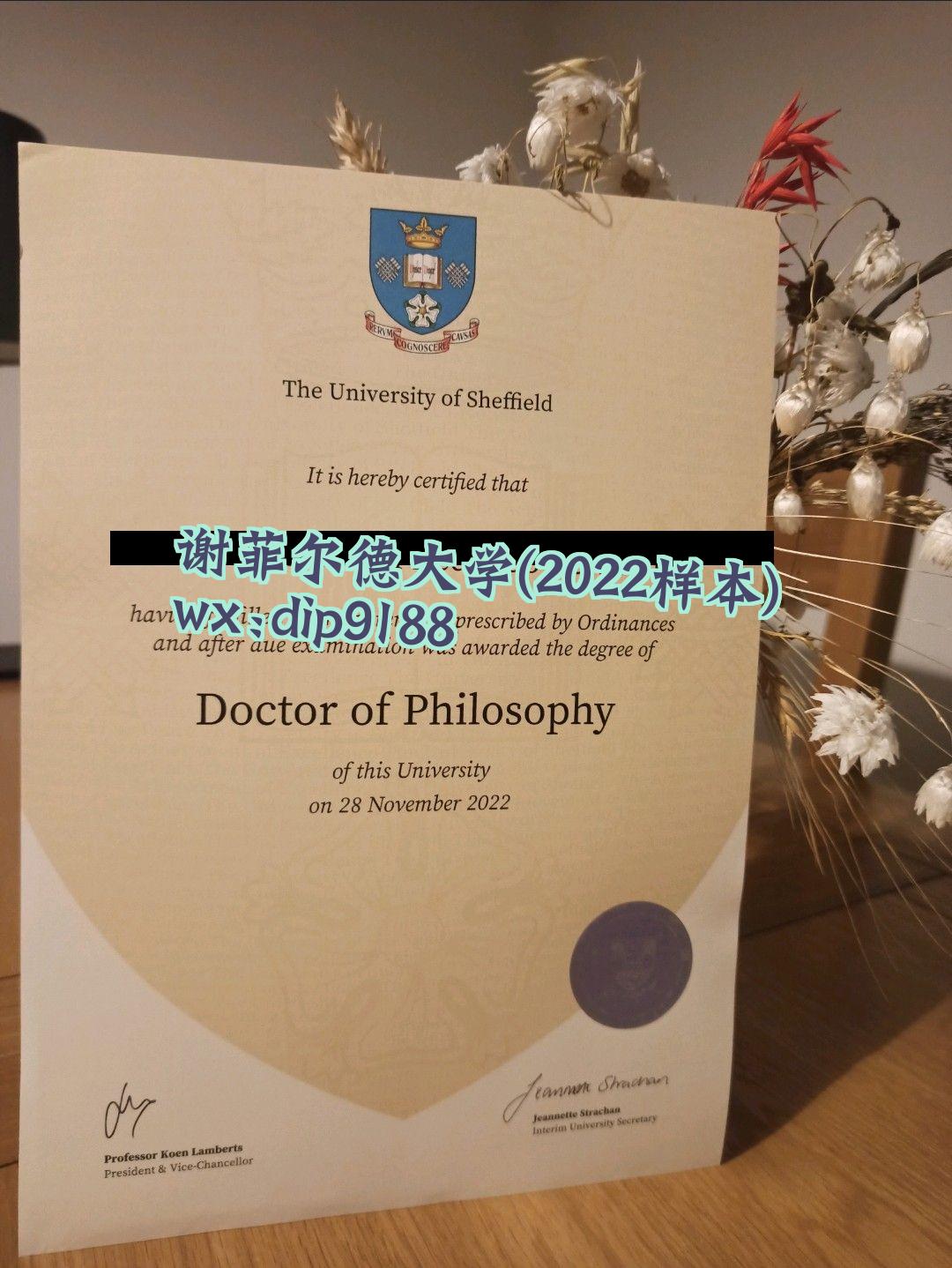 谢菲尔德大学学历2022毕业证样本图