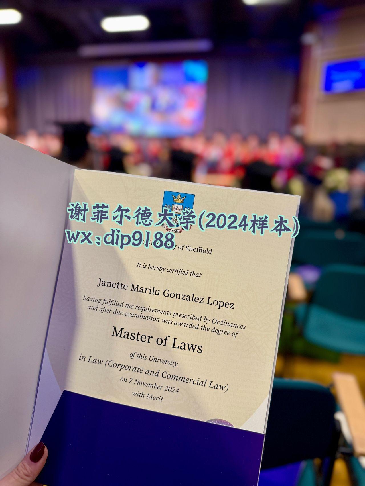谢菲尔德大学学历2024毕业证样本图