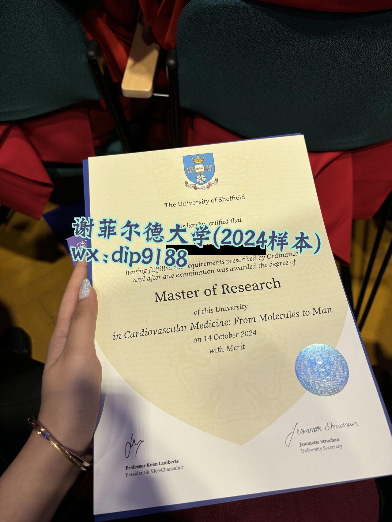 谢菲尔德大学学历2024毕业证样本图