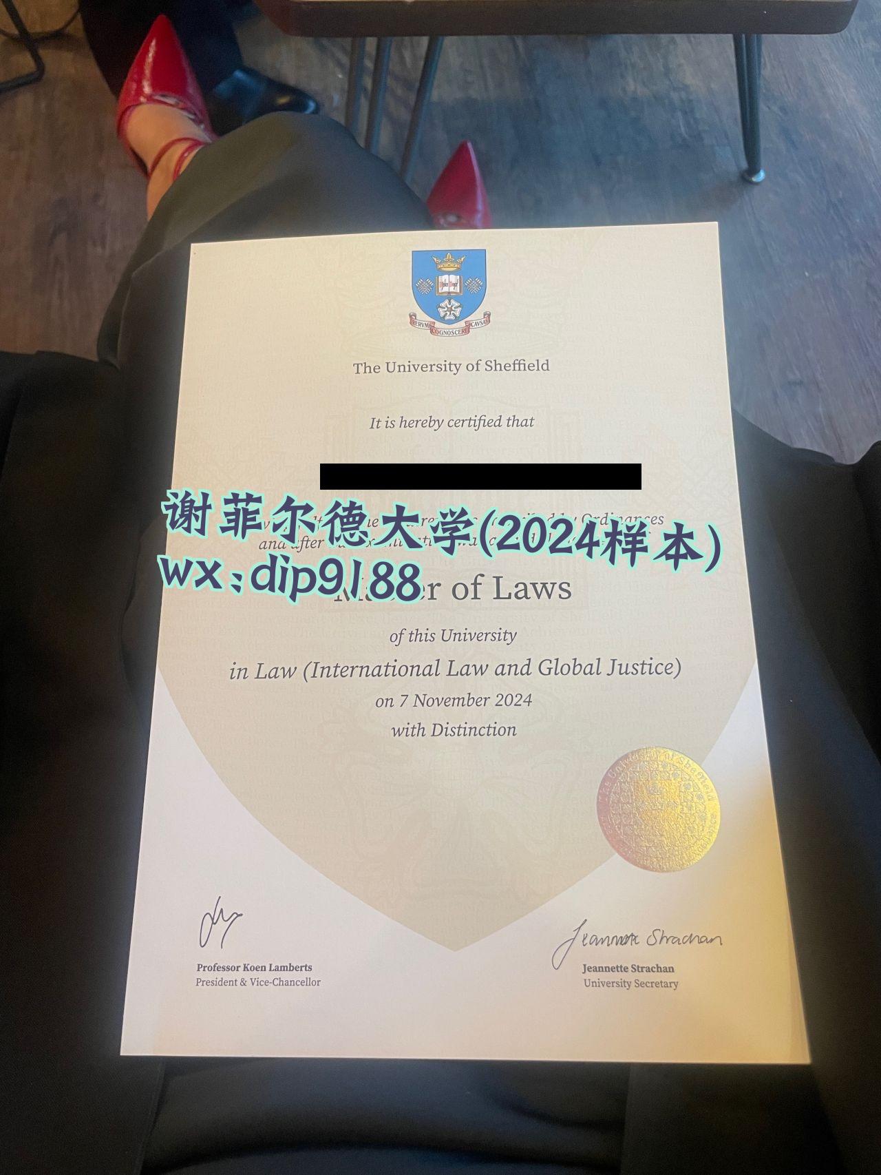 谢菲尔德大学学历2024毕业证样本图