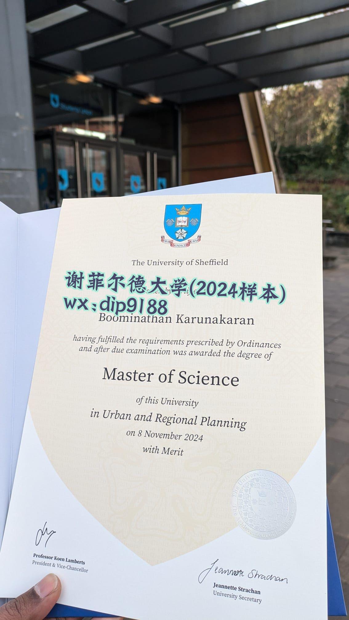谢菲尔德大学学历2024毕业证样本图