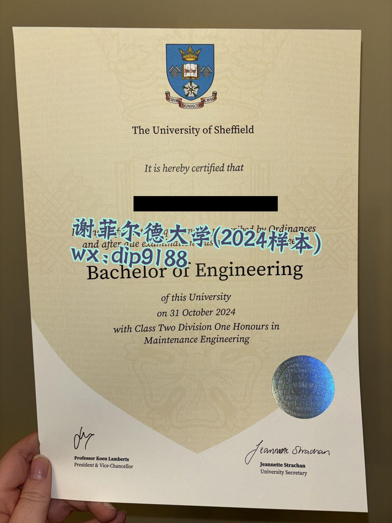 谢菲尔德大学学历2024毕业证样本图