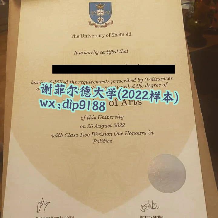 谢菲尔德大学学历2022毕业证样本图