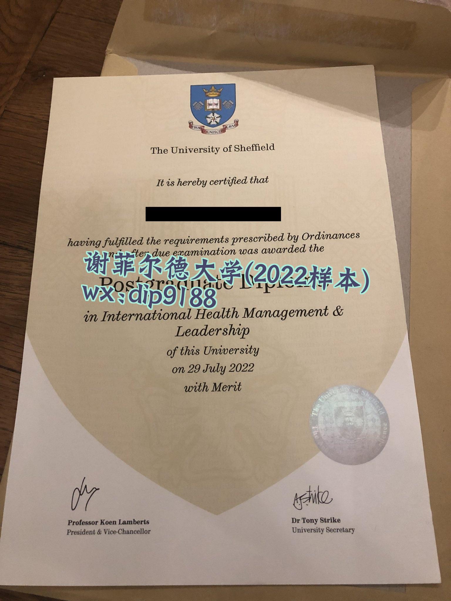 谢菲尔德大学学历2022毕业证样本图