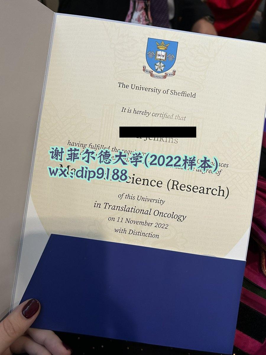 谢菲尔德大学学历2022毕业证样本图