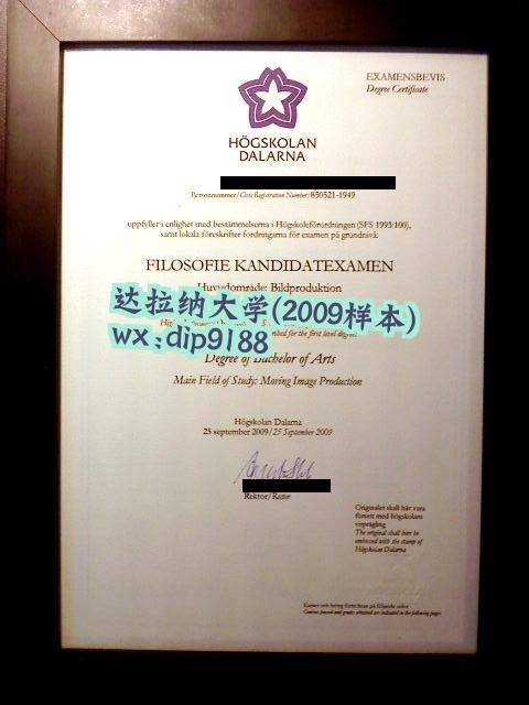 达拉纳大学学历2009毕业证样本图