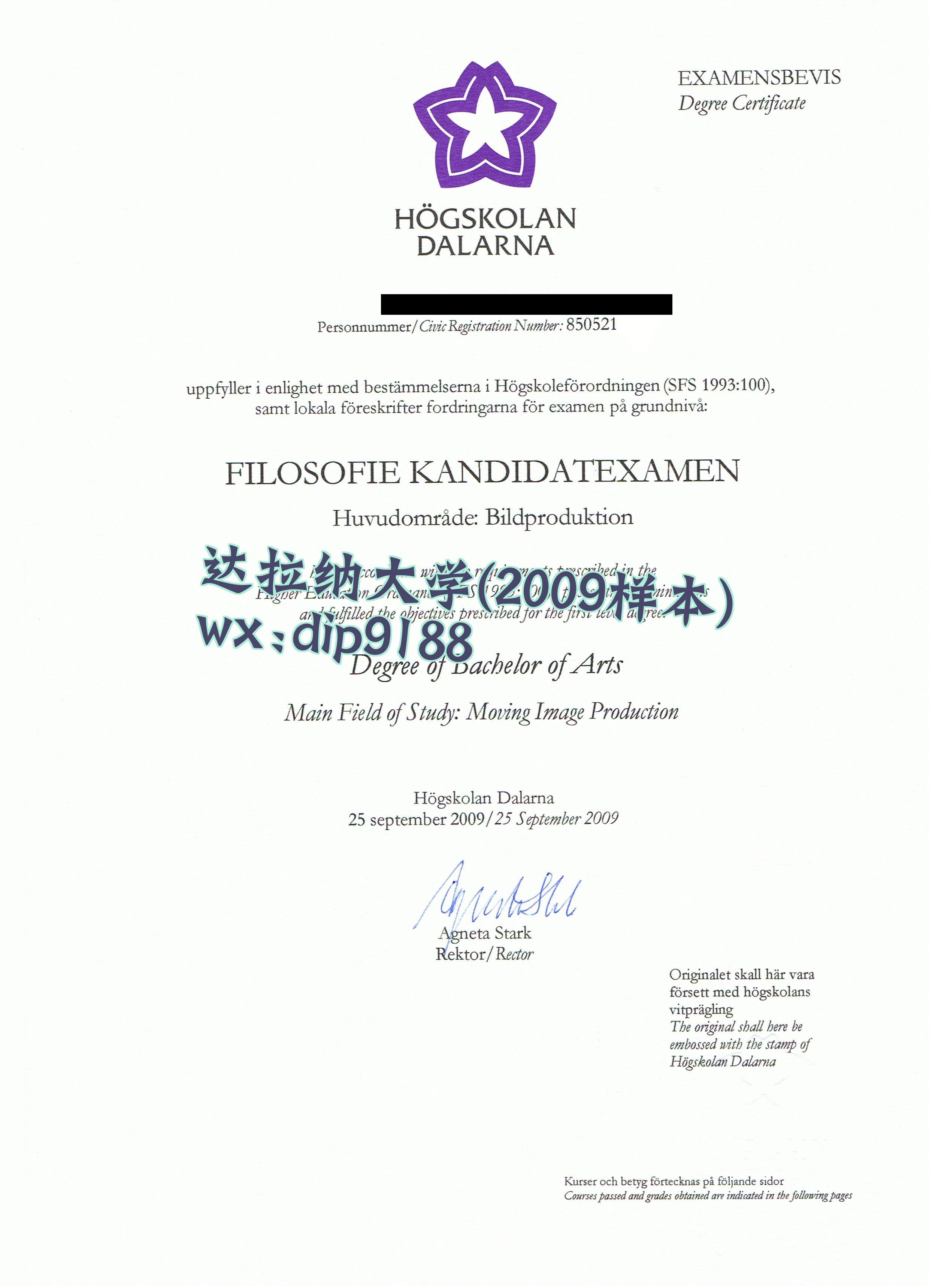 达拉纳大学学历2009毕业证样本图