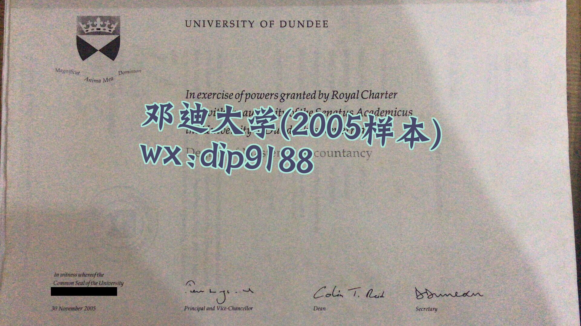 邓迪大学学历2005毕业证样本图