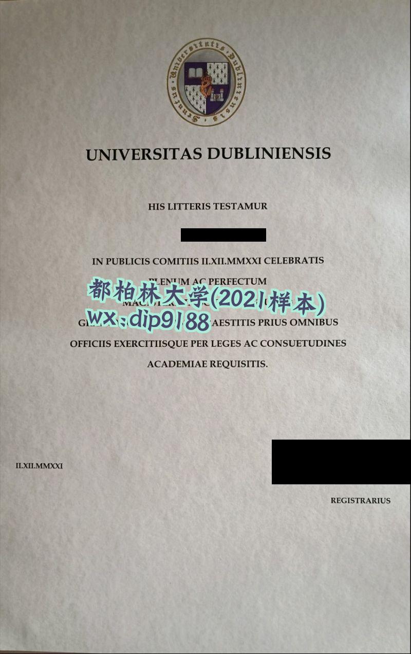 都柏林大学学历2021毕业证样本图
