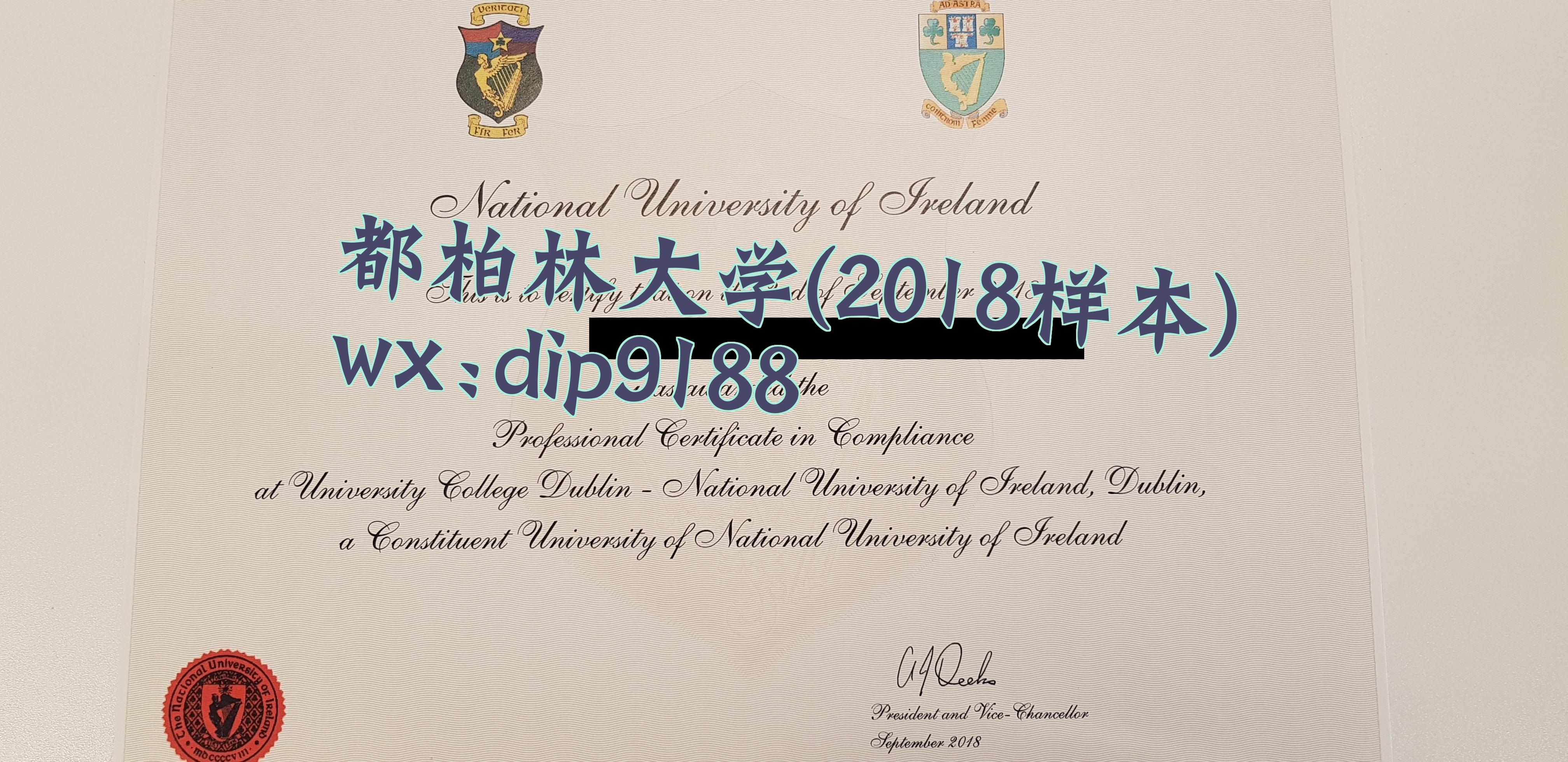 都柏林大学学历2018毕业证样本图