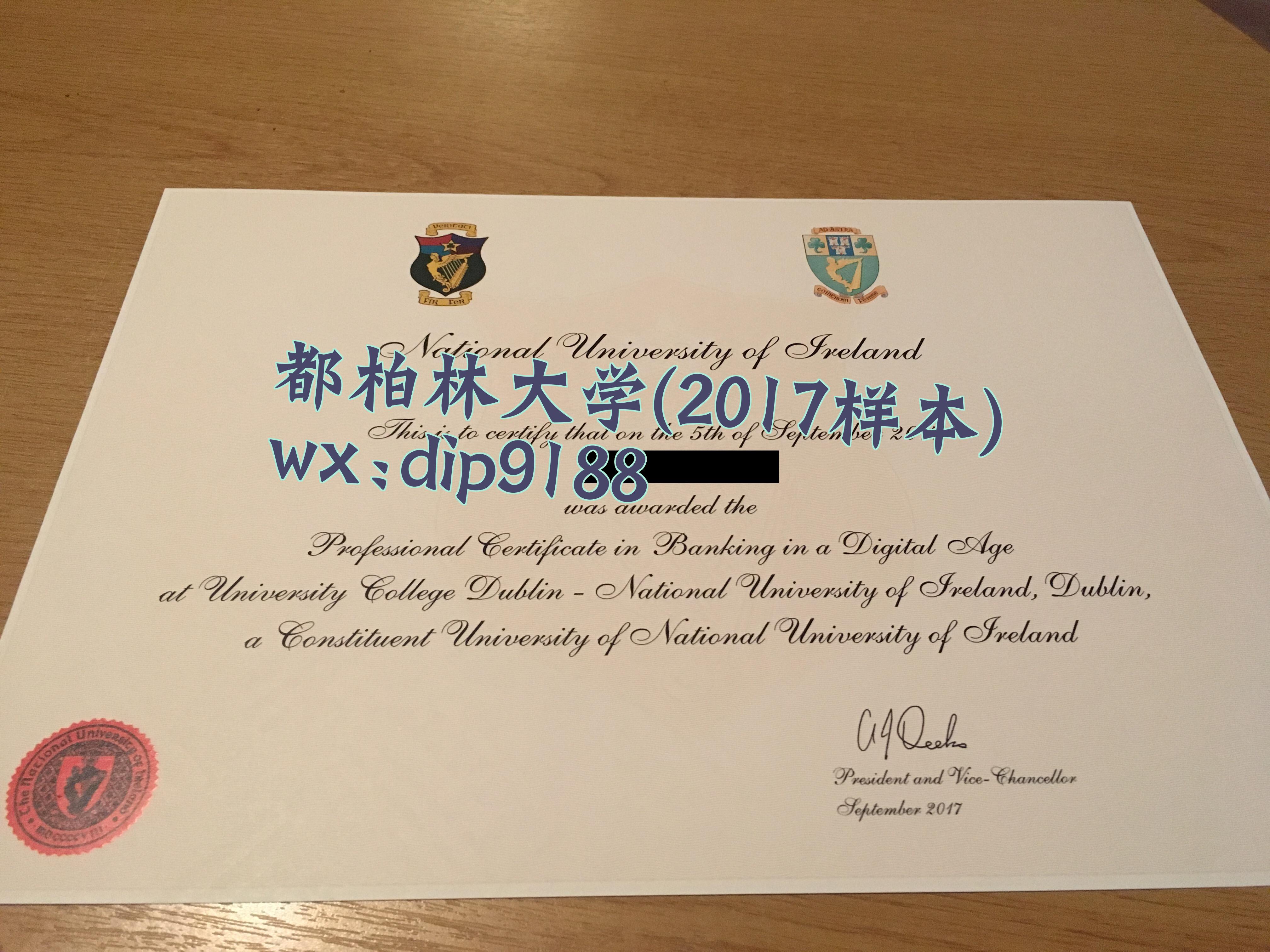 都柏林大学学历2017毕业证样本图