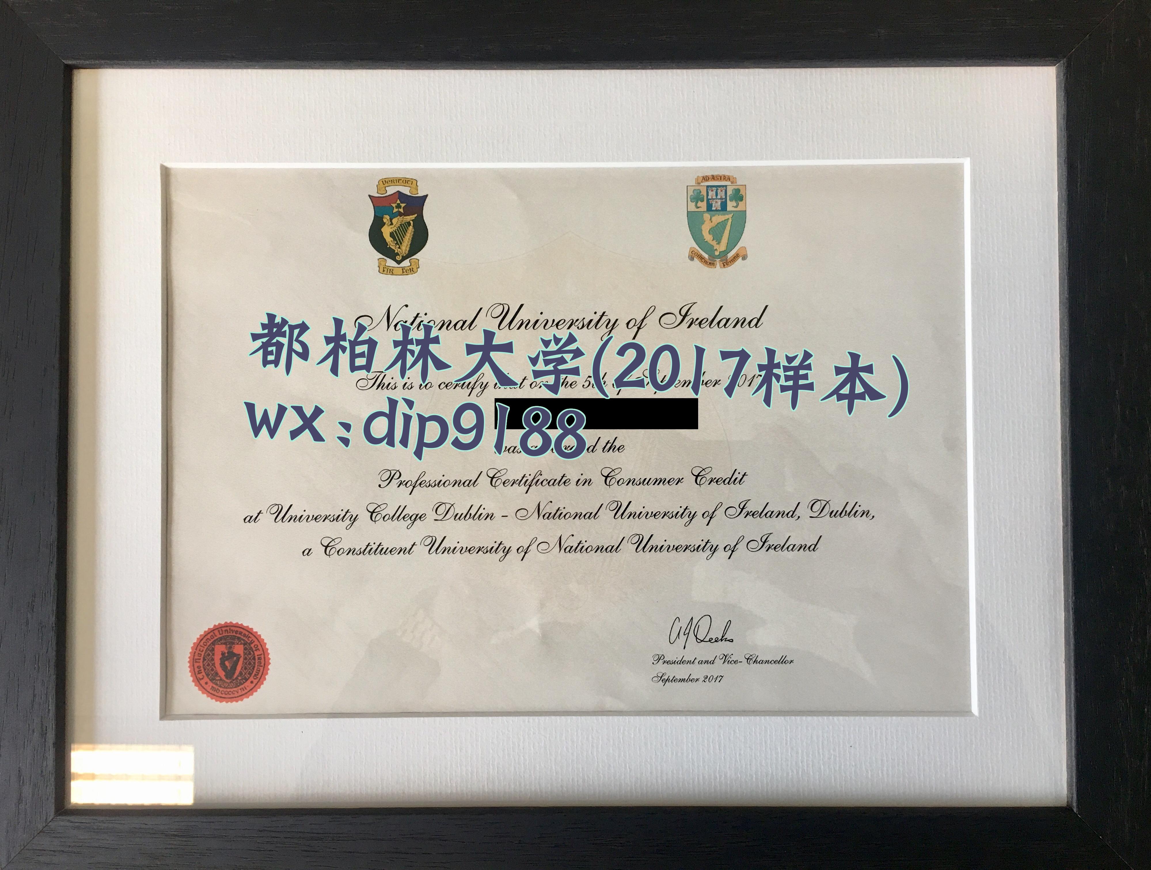都柏林大学学历2017毕业证样本图