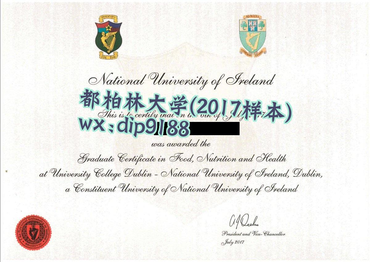 都柏林大学学历2017毕业证样本图