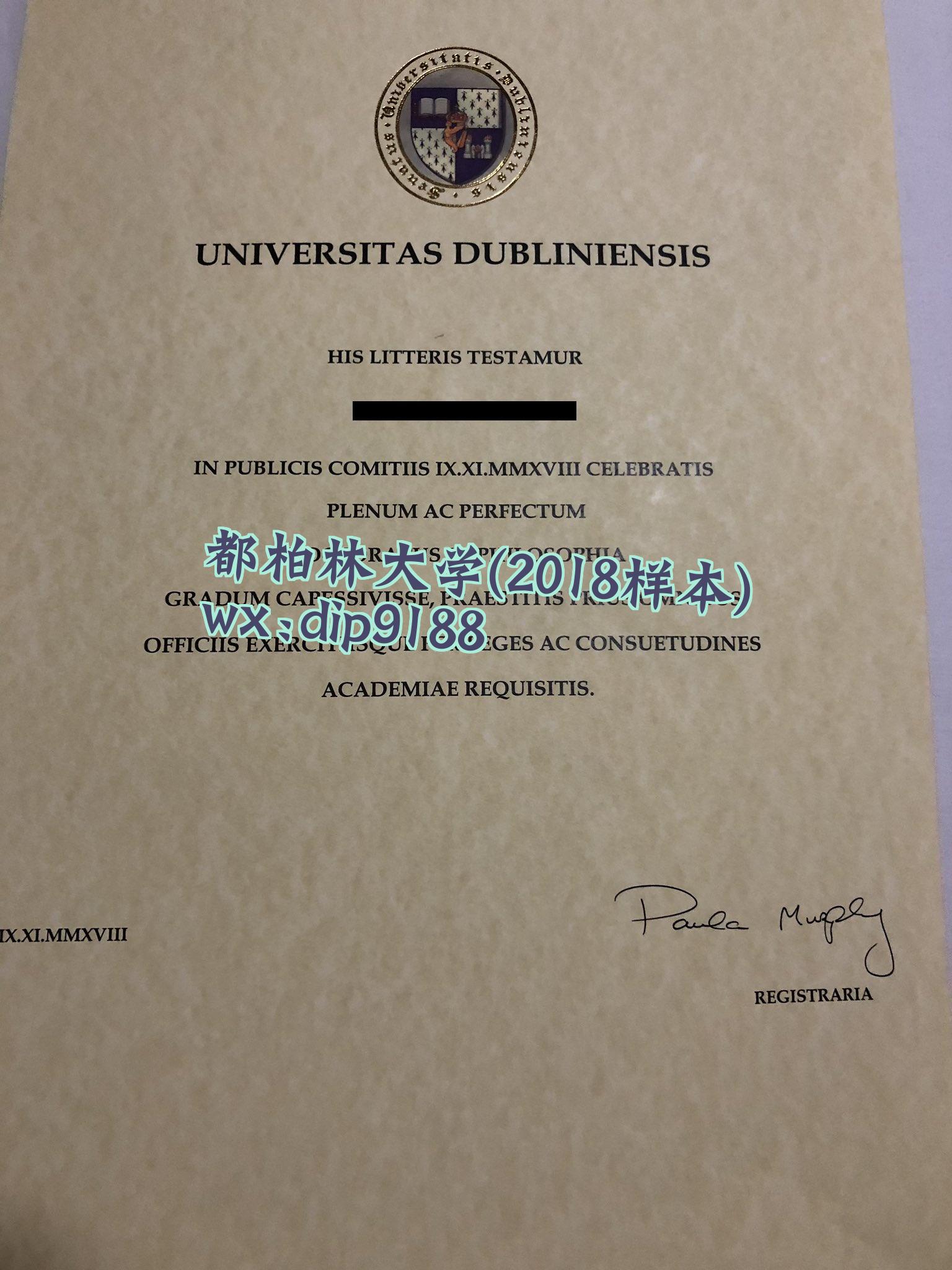 都柏林大学学历2018毕业证样本图