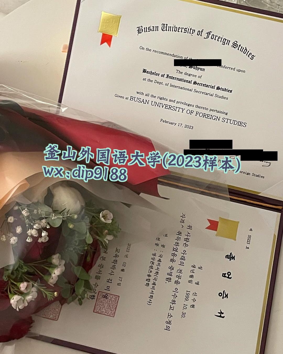 釜山外国语大学学历2023毕业证样本图