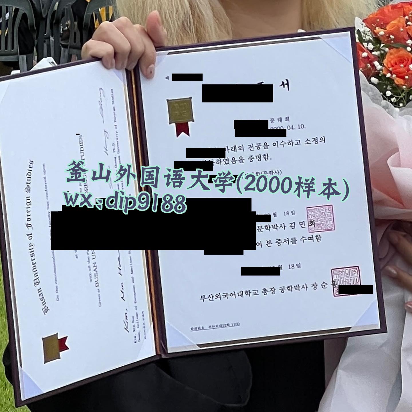 釜山外国语大学学历2000毕业证样本图