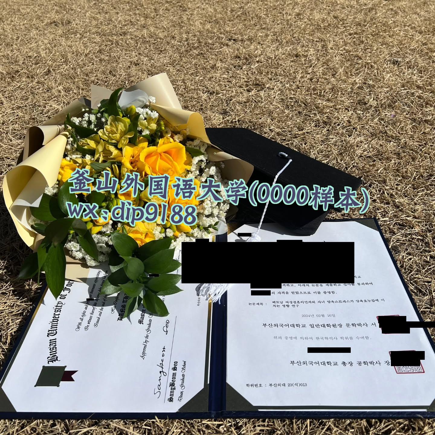釜山外国语大学学历0000毕业证样本图