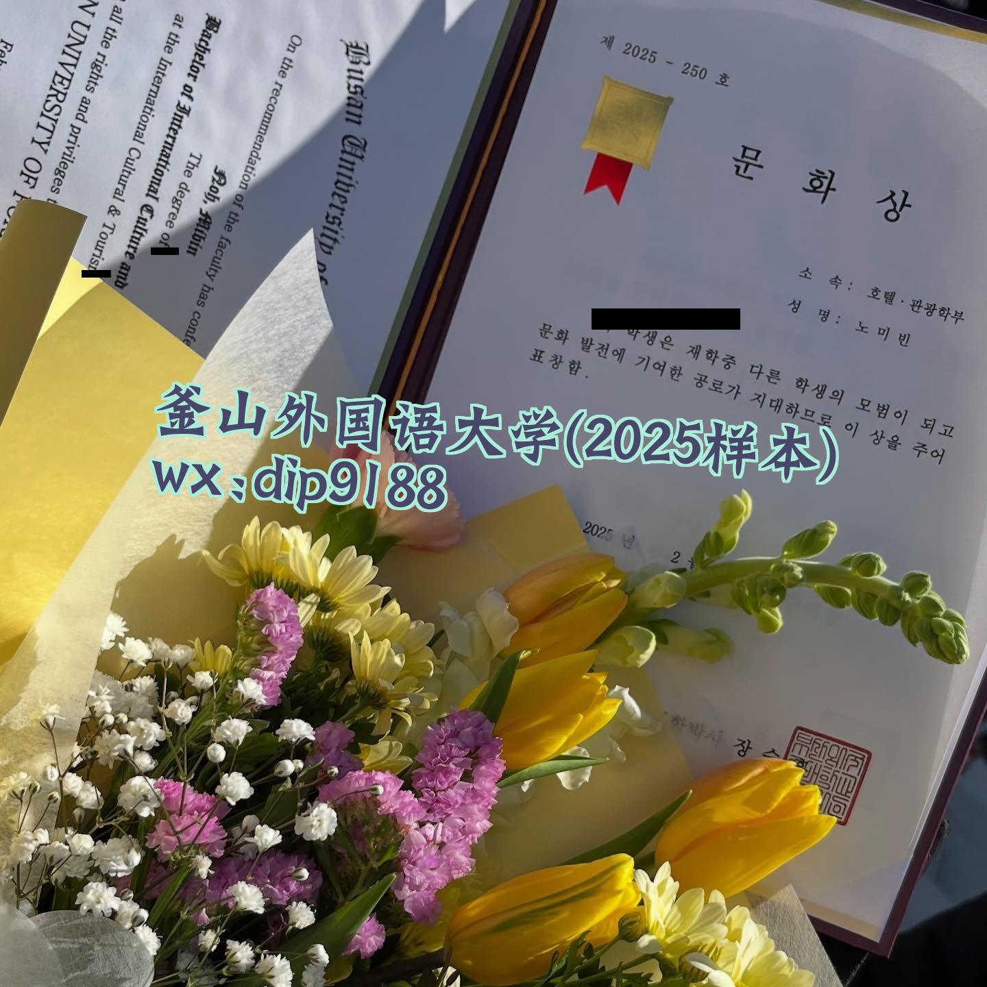 釜山外国语大学学历2025毕业证样本图