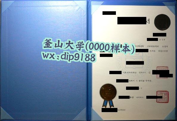 釜山大学学历0000毕业证样本图