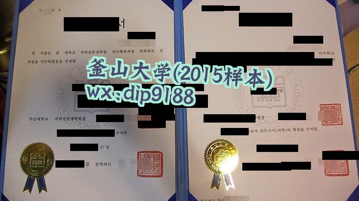 釜山大学学历2015毕业证样本图