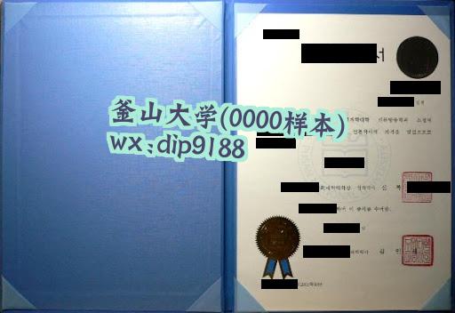 釜山大学学历0000毕业证样本图