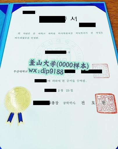 釜山大学学历0000毕业证样本图