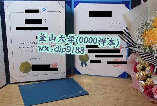 釜山大学学历0000毕业证样本图
