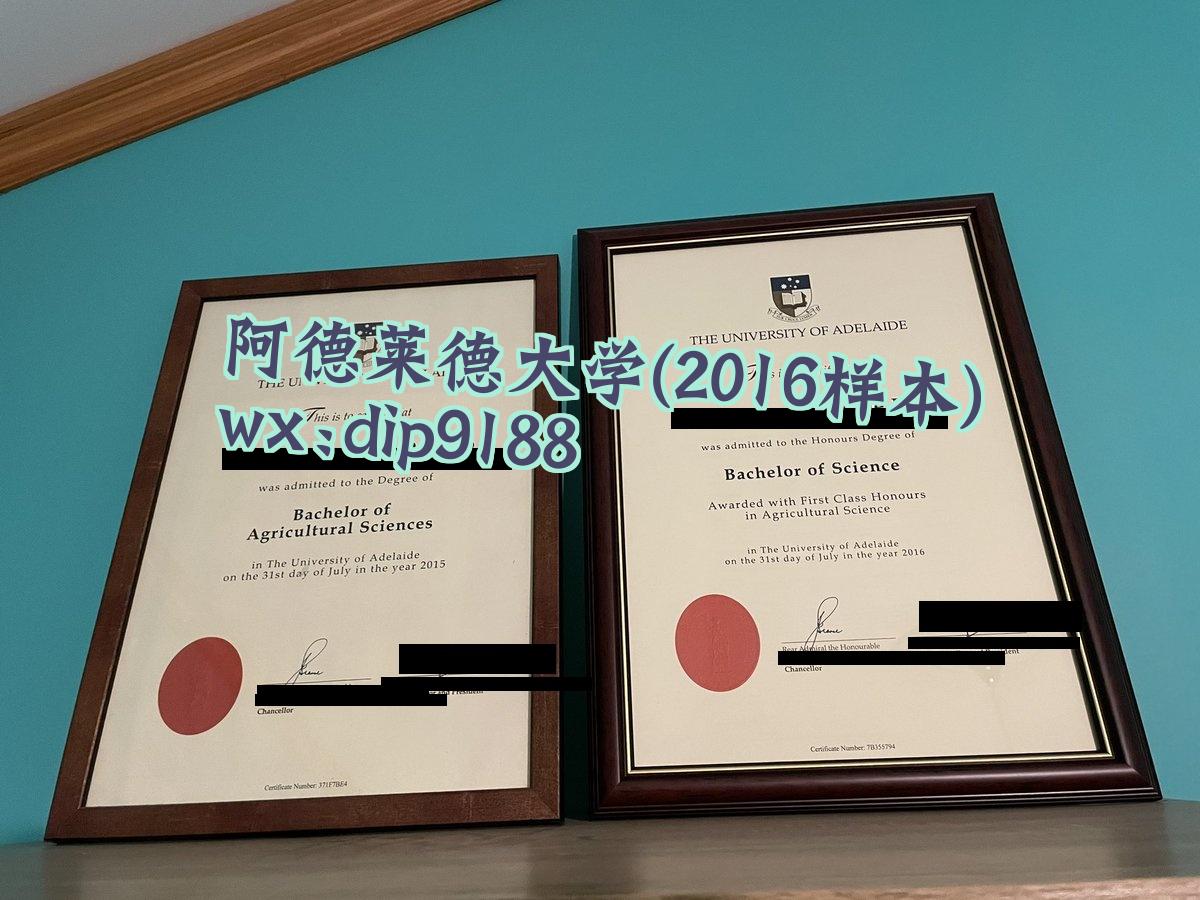 阿德莱德大学学历2016毕业证样本图