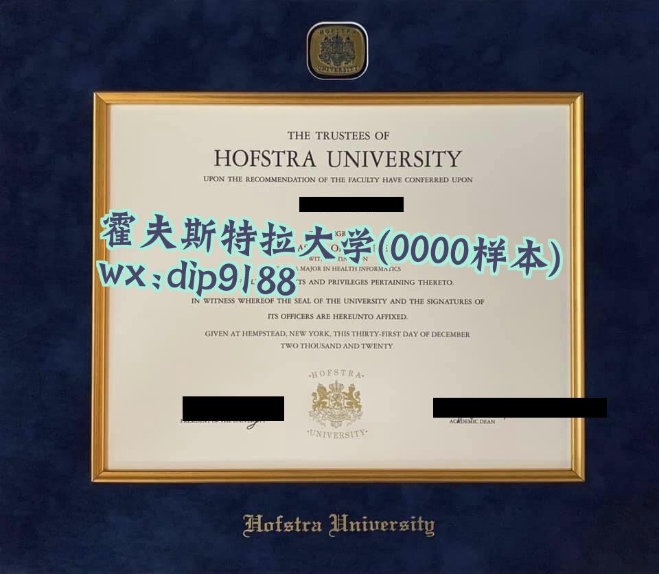 霍夫斯特拉大学学历0000毕业证样本图