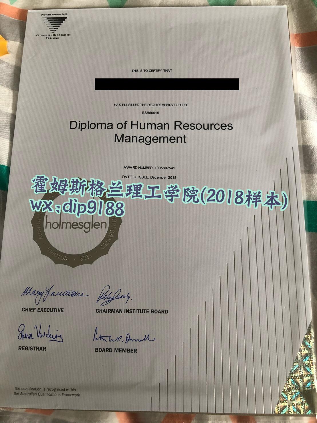 霍姆斯格兰理工学院学历2018毕业证样本图