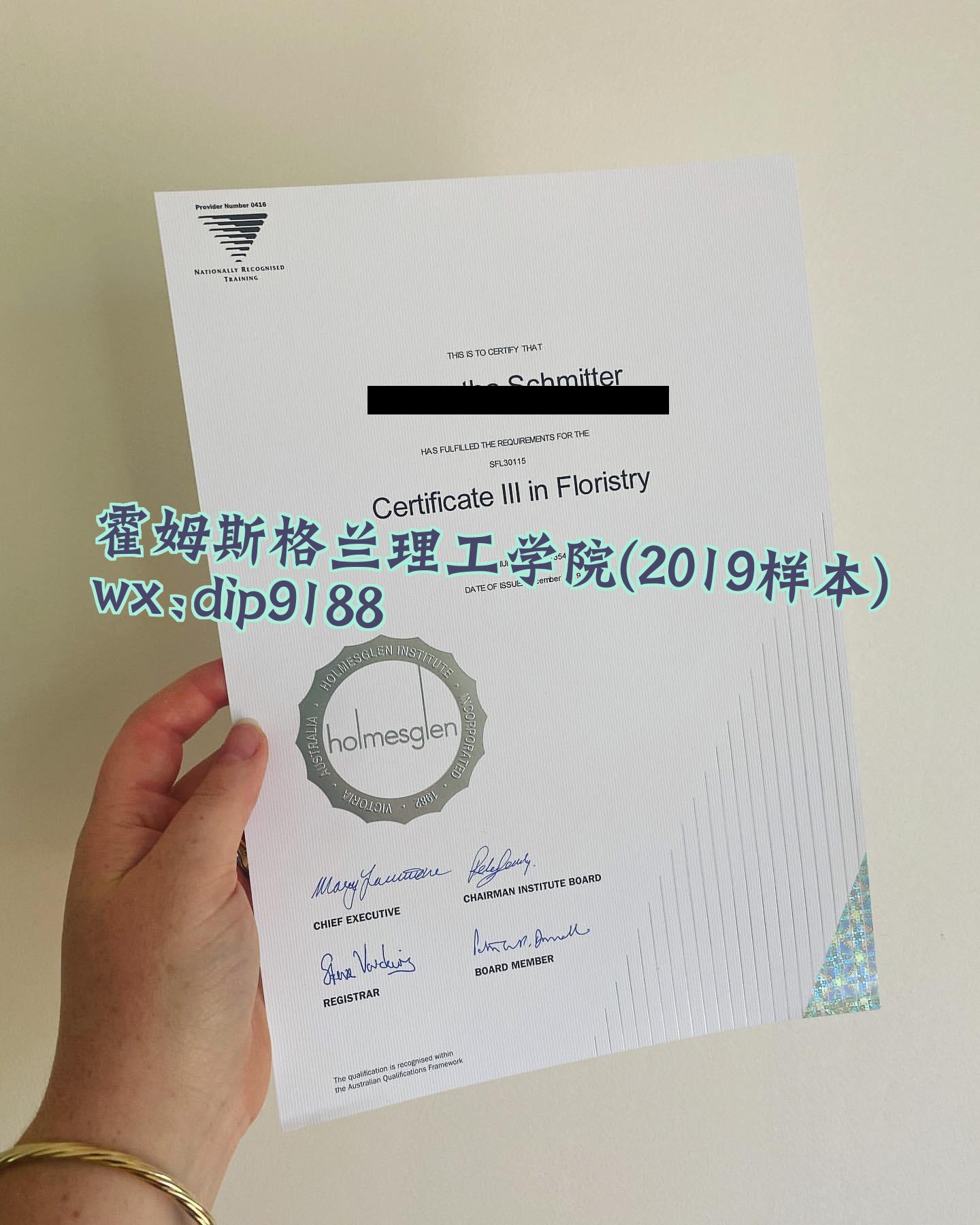 霍姆斯格兰理工学院学历2019毕业证样本图