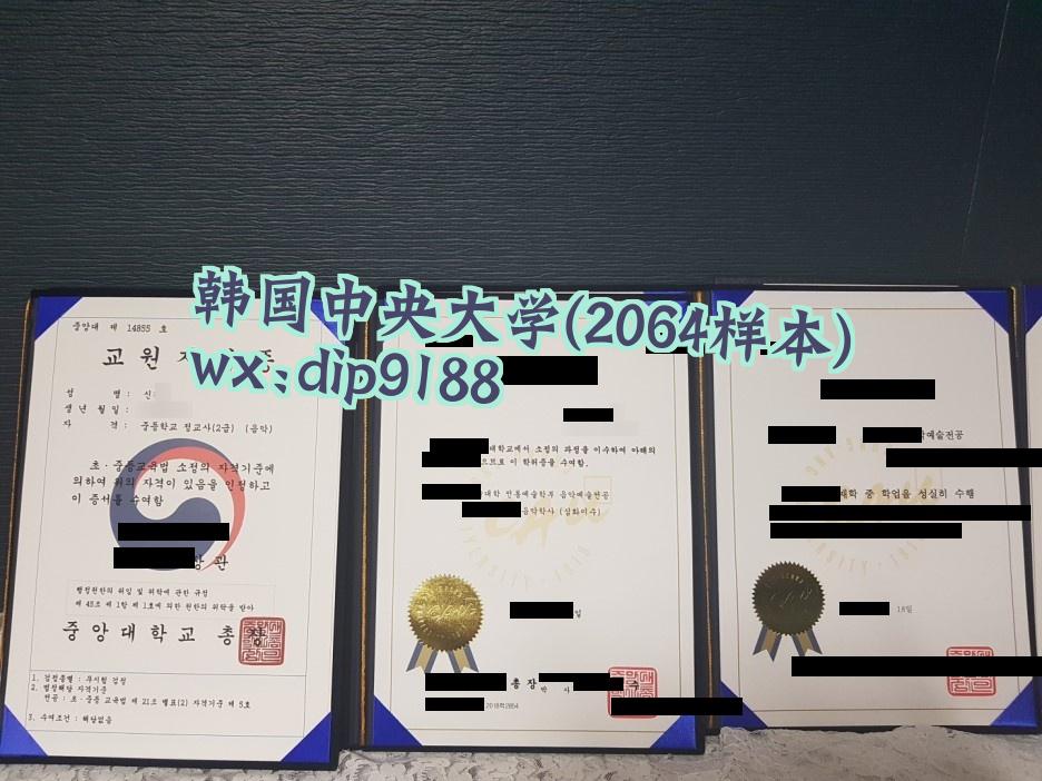 韩国中央大学学历2064毕业证样本图