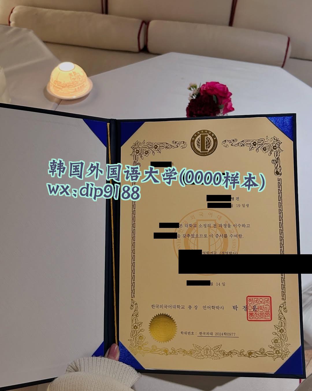 韩国外国语大学学历0000毕业证样本图