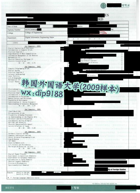 韩国外国语大学学历2009毕业证样本图