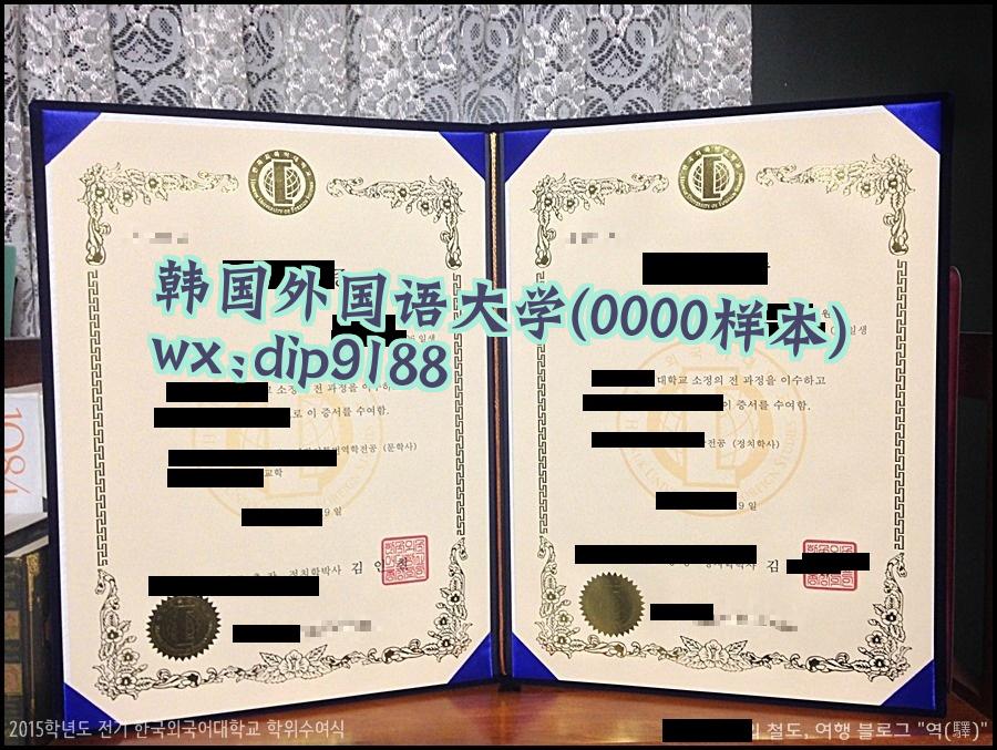 韩国外国语大学学历0000毕业证样本图
