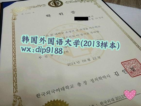 韩国外国语大学学历2013毕业证样本图