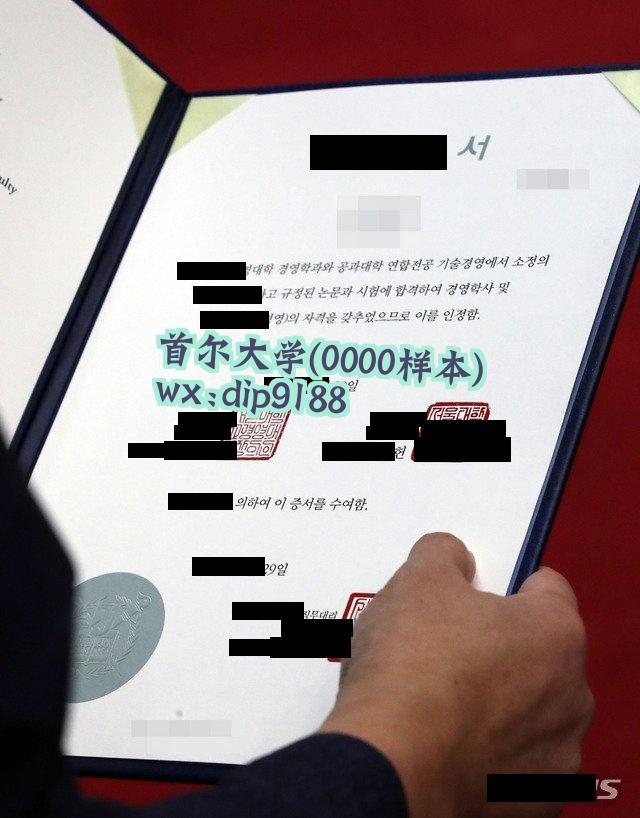 首尔大学学历0000毕业证样本图