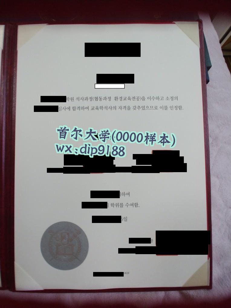 首尔大学学历0000毕业证样本图