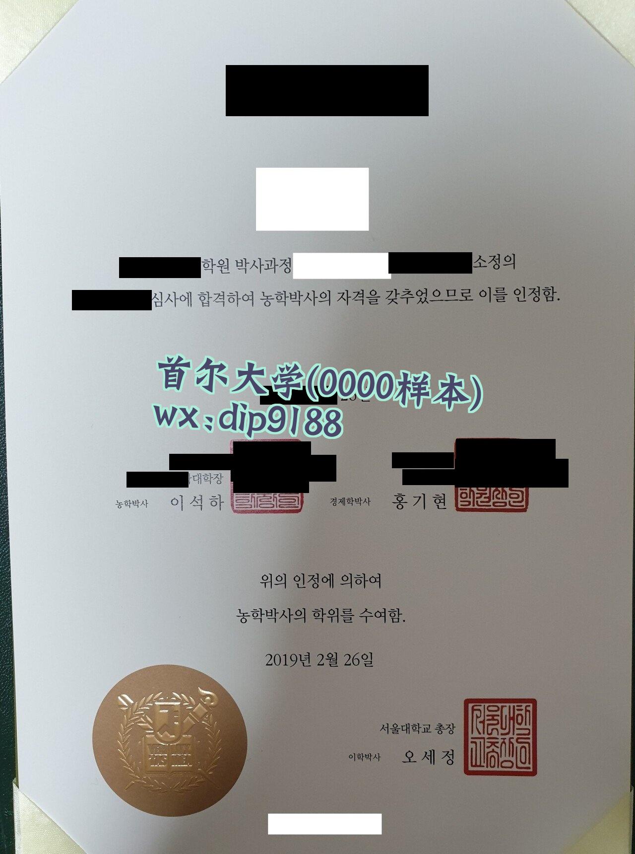 首尔大学学历0000毕业证样本图